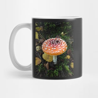 Fairy Fungus Toadstool Village - Foraging for Food? Be careful what you eat!! Mug